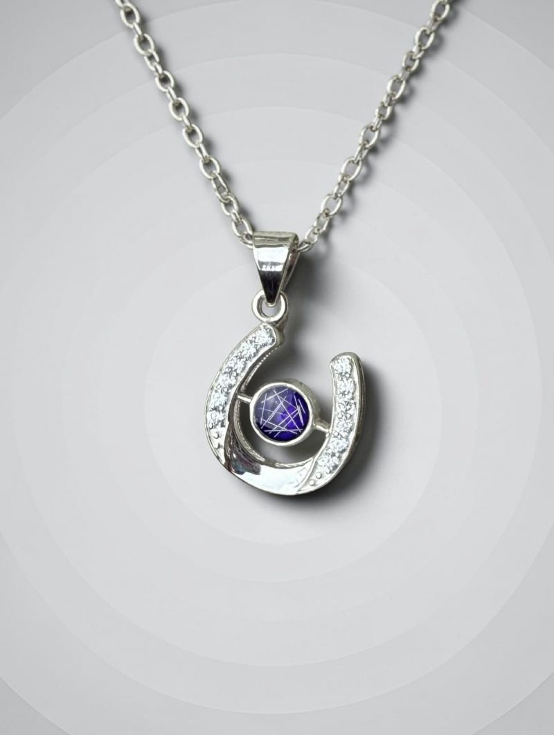 Lucky Horseshoe Memorial Pendant